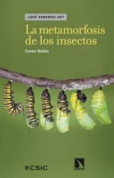 la metamorfosis de los insectos-xavier belles-9788483197981